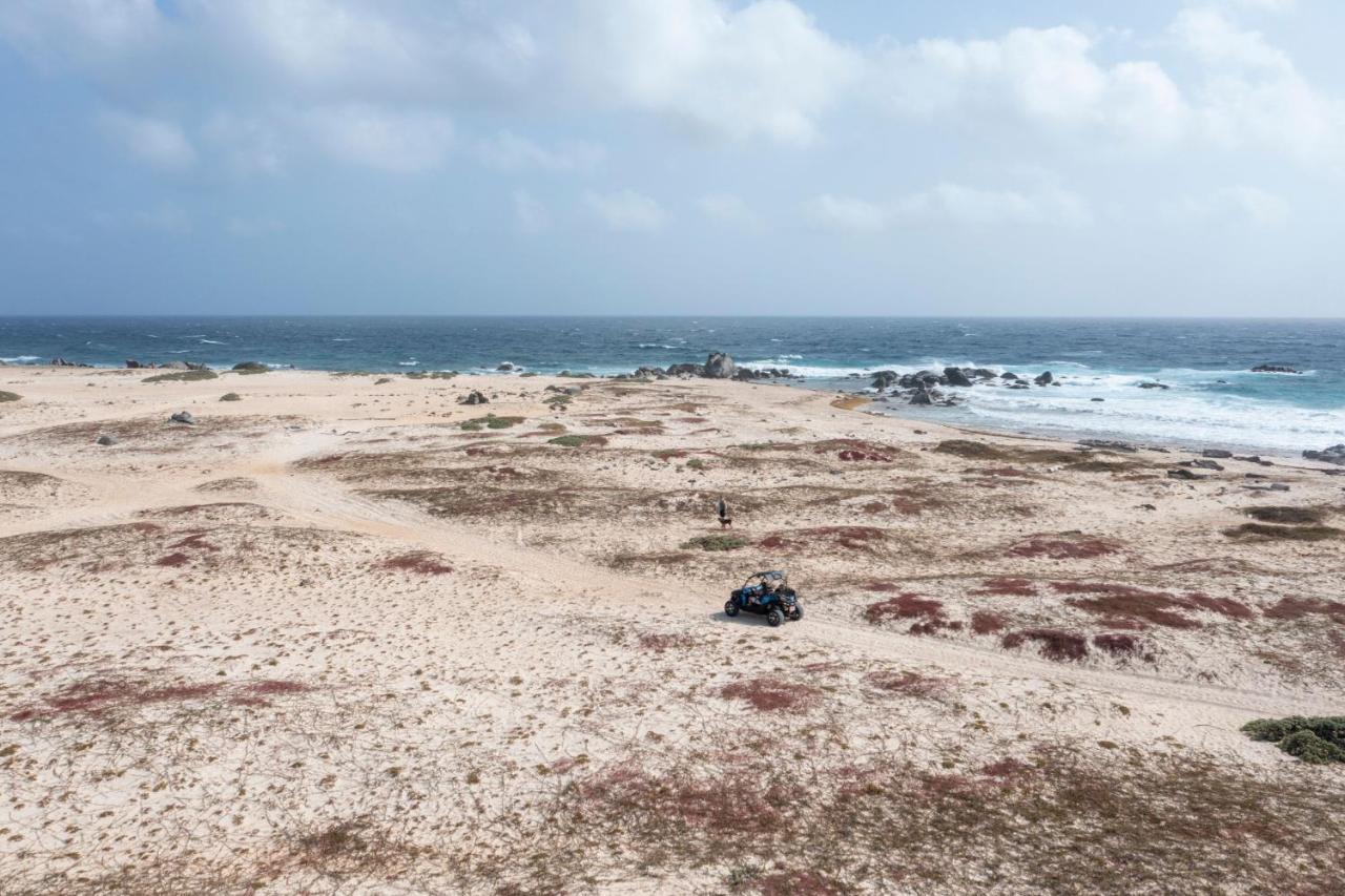 Marriott'S Aruba Ocean Club Hotel Palm Beach Luaran gambar